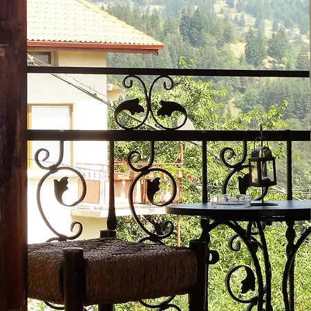 Guest house Holiday Kalina